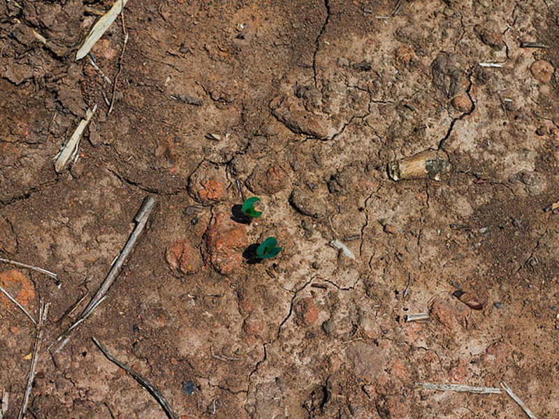 手持式土壤重金屬分析儀準(zhǔn)確度高 手持式土壤重金屬分析儀準(zhǔn)確度高