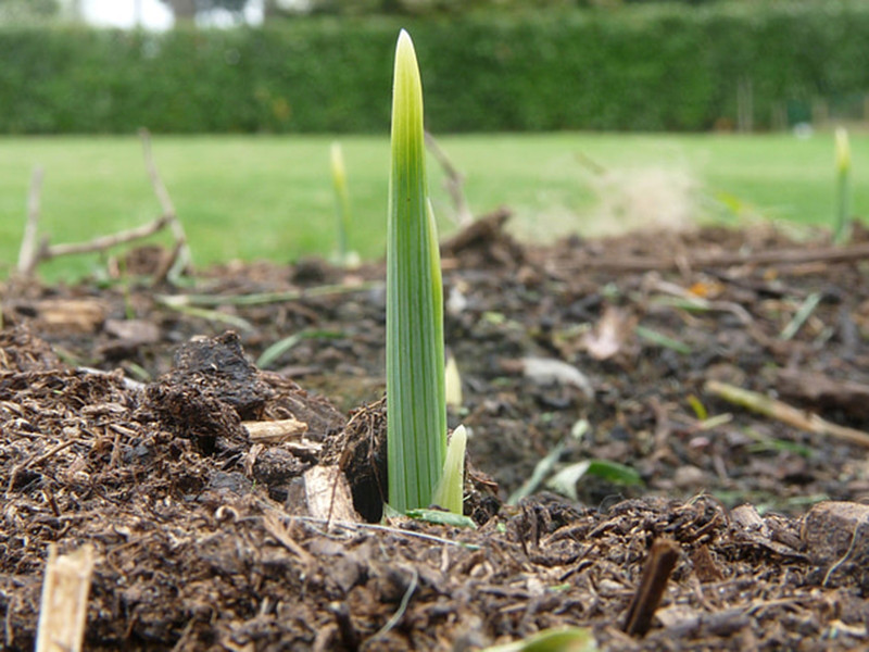 土壤養(yǎng)分檢測儀讓施肥更科學(xué) 土壤養(yǎng)分檢測儀讓施肥更科學(xué)