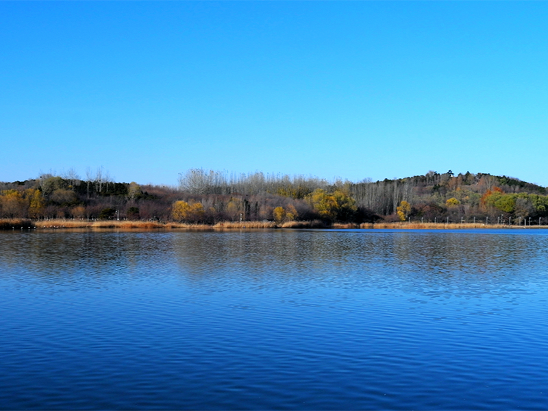 水質(zhì)檢測儀器價格(水質(zhì)檢測儀器大概多少錢)