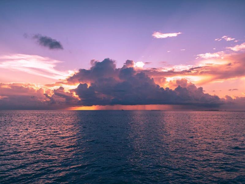 水質(zhì)氨氮快速測定儀怎么用