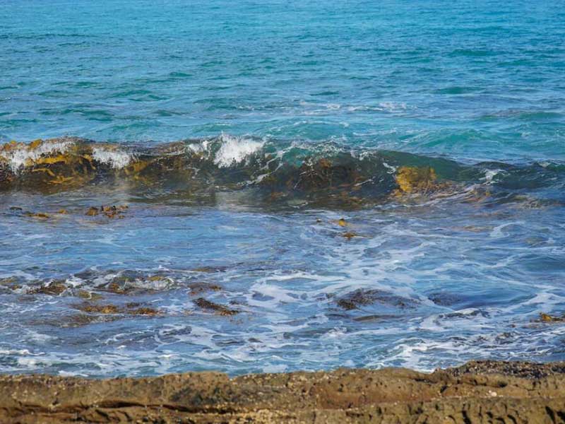 水質(zhì)檢測(cè)中的TOC是什么