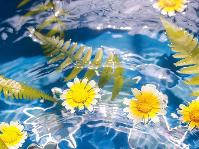 水環(huán)境中微塑料的生態(tài)風險