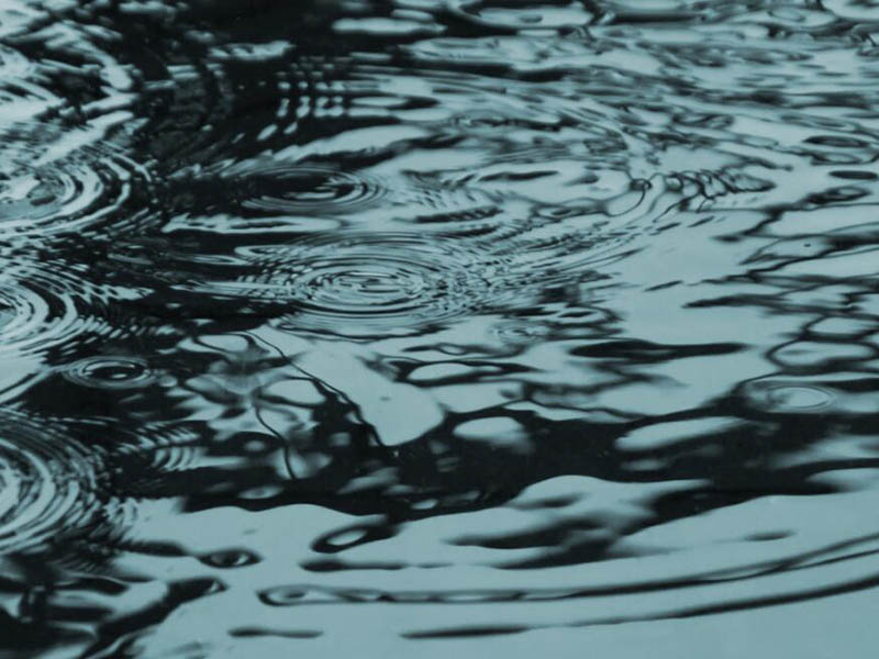 水質(zhì)檢測中常見金屬元素及來源（金屬元素的毒性機制）