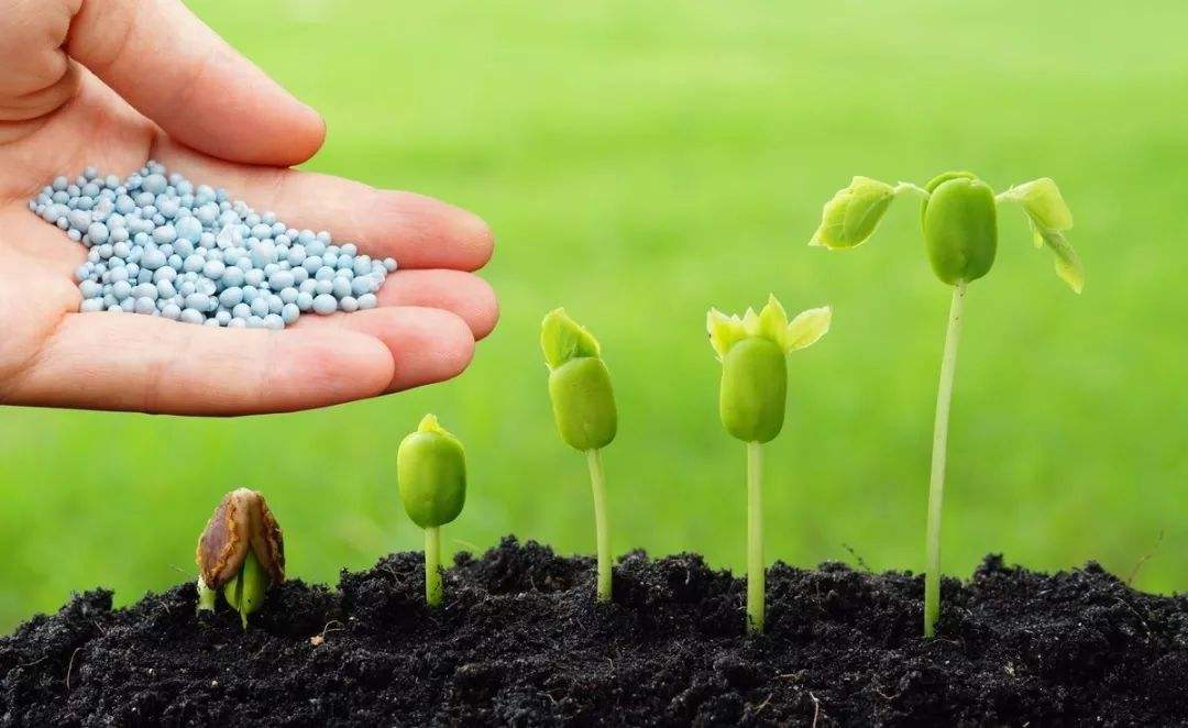 土壤微量元素檢測器 土壤微量元素檢測器