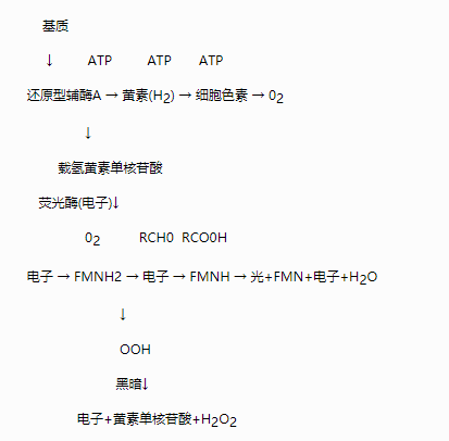 生物毒性檢測儀的檢測原理是什么 生物毒性檢測儀的檢測原理是什么